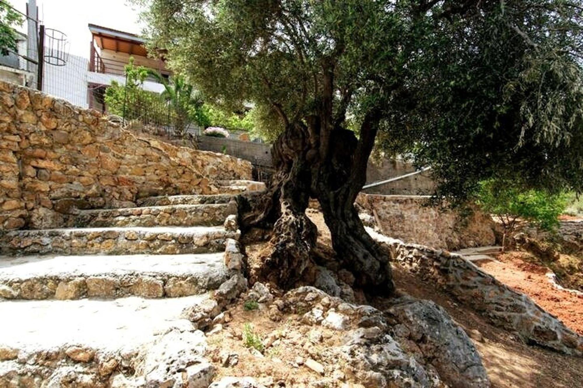 Casa vacanze Aoria Traditional House *